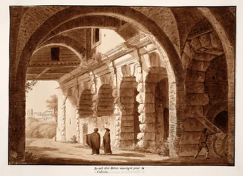 The enclosure of the wild beasts for the Colosseum